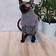 Свитер для котов и кошек. Одежда для питомцев. Наталья (stylishcat). Ярмарка Мастеров.  Фото №4