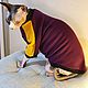 Clothing for cats Jacket 'Cool!'. Pet clothes. Happy-sphynx. Online shopping on My Livemaster.  Фото №2