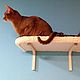 Wall shelves for cats buy. Available in size, Accessories for Pets, Ekaterinburg,  Фото №1