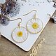 Earrings with daisies. Earrings with real flowers, Earrings, Moscow,  Фото №1