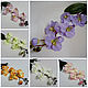 Цв-15.4 Ветка орхидеи, Цветы искусственные, Москва,  Фото №1