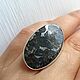 Order Meteorite ring 'Part of the Universe', silver. EdGems jewerly. Livemaster. . Rings Фото №3
