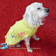Sweater for a beloved pet, Pet clothes, Moscow,  Фото №1