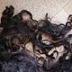 Пух козий немытый Темносерый с коричневым 100 г, Материалы для кукол и игрушек, Черкесск,  Фото №1