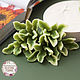 Silicone soap mold ' Pittosporum leaves', Form, Zheleznodorozhny,  Фото №1