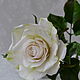Белая роза, Цветы, Москва,  Фото №1