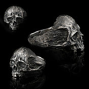 Three Skulls Earring