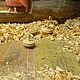 Юла - Волчек, Именные сувениры, Нижний Новгород,  Фото №1