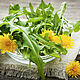 Hydrolate natural Dandelion (flowers), Tonics, Moscow,  Фото №1