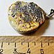 Amber. Pendant ' Medal'. Pendants. Amber is a warm stone. Online shopping on My Livemaster.  Фото №2