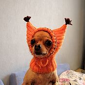 Зимний комбинезон для Ксоло, КХС, Перуанских собак с мехом 
