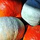 Pumpkins hydrolate 2023. Pore reduction, matte skin. Tonics. MYLNITSA. Online shopping on My Livemaster.  Фото №2