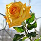 Цветок из полимерной глины Оранжевая роза, Растения, Москва,  Фото №1