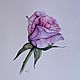 Original watercolor painting Rose. Pictures. Liliya Shtulberg. Online shopping on My Livemaster.  Фото №2