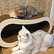 2-ярусная лежанка-когтеточка "КотоБернулли". Домик для питомца. LUCKY * TIME (Татьяна Герасимова). Ярмарка Мастеров.  Фото №12