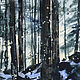 Order Small watercolor winter landscape Snowfall in the forest. Pictures for the soul (RozaSavinova). Livemaster. . Pictures Фото №3