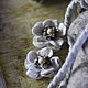 Order Set of felted brooches 'Ash flowers'. Katherine Markina (markinaek). Livemaster. . Brooches Фото №3