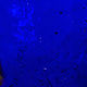 Заказать El esmalte Dulevo por el aluminio en el surtido 10 gr. Russian Enamels. Ярмарка Мастеров. . Blanks for jewelry Фото №3