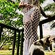 Костюм макраме сетка штаны и топ пляжный/летний. Костюмы. Lila_macra. Ярмарка Мастеров.  Фото №5