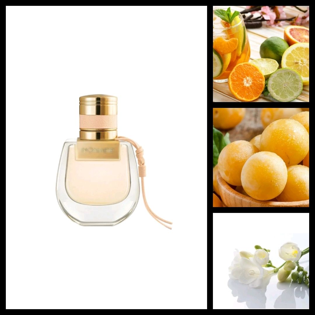 кочевник экскурсия. гималайское плато. хлоя номаде арабские фрагранс. каракорум монголия. кочевники духа киплюкс.