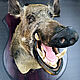  Scarecrow - The head of a boar cleaver. Interior elements. Unique items made of wood, handmade. My Livemaster. Фото №4