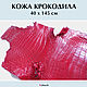 Crocodile skin red IN STOCK, Leather, Krasnodar,  Фото №1