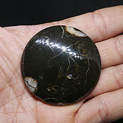 Симбирцит аммонитовый кабошон полумесяц 57 мм