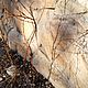 Set of photos ' Breath of life', Fine art photographs, Gelendzhik,  Фото №1