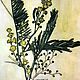 Watercolor herbarium. Charles Rennie Mackintosh, a copy of
