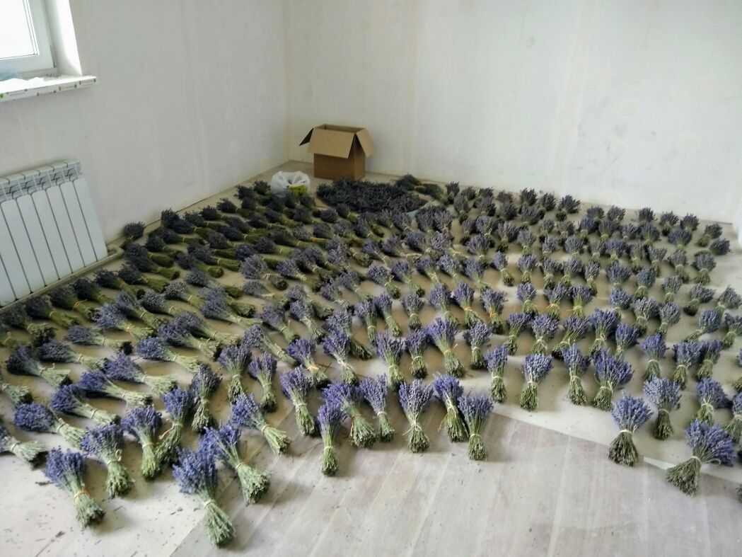 Мой профиль