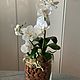 Орхидея из холодного фарфора. Цветы. Оксана Кутюмова. Ярмарка Мастеров.  Фото №5