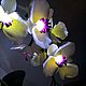 La flor de la lámpara de la orquídea phalaenopsis blanca. Table lamps. Elena Krasilnikova. Ярмарка Мастеров.  Фото №4