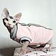 Одежда для кошек "Толстовка спорт -  Шик Блеск". Одежда для питомцев. Happy-Sphynx. Ярмарка Мастеров.  Фото №4