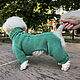 Knitted jumpsuit for a small dog, sweater for a dog. Pet clothes. elenatricoter. Online shopping on My Livemaster.  Фото №2