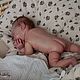 Торс! JUNIPER от Andrea Arcello. Куклы Reborn. Knopkadoll. Ярмарка Мастеров.  Фото №6