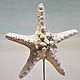 Order Starfish statuette on a stand concrete decor in marine style. Decor concrete Azov Garden. Livemaster. . Figurines Фото №3