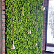 Order Moss panels according to your size. Антонина Литовкина - Озеленение (Планета Флористики). Livemaster. . Wallpaper Фото №3