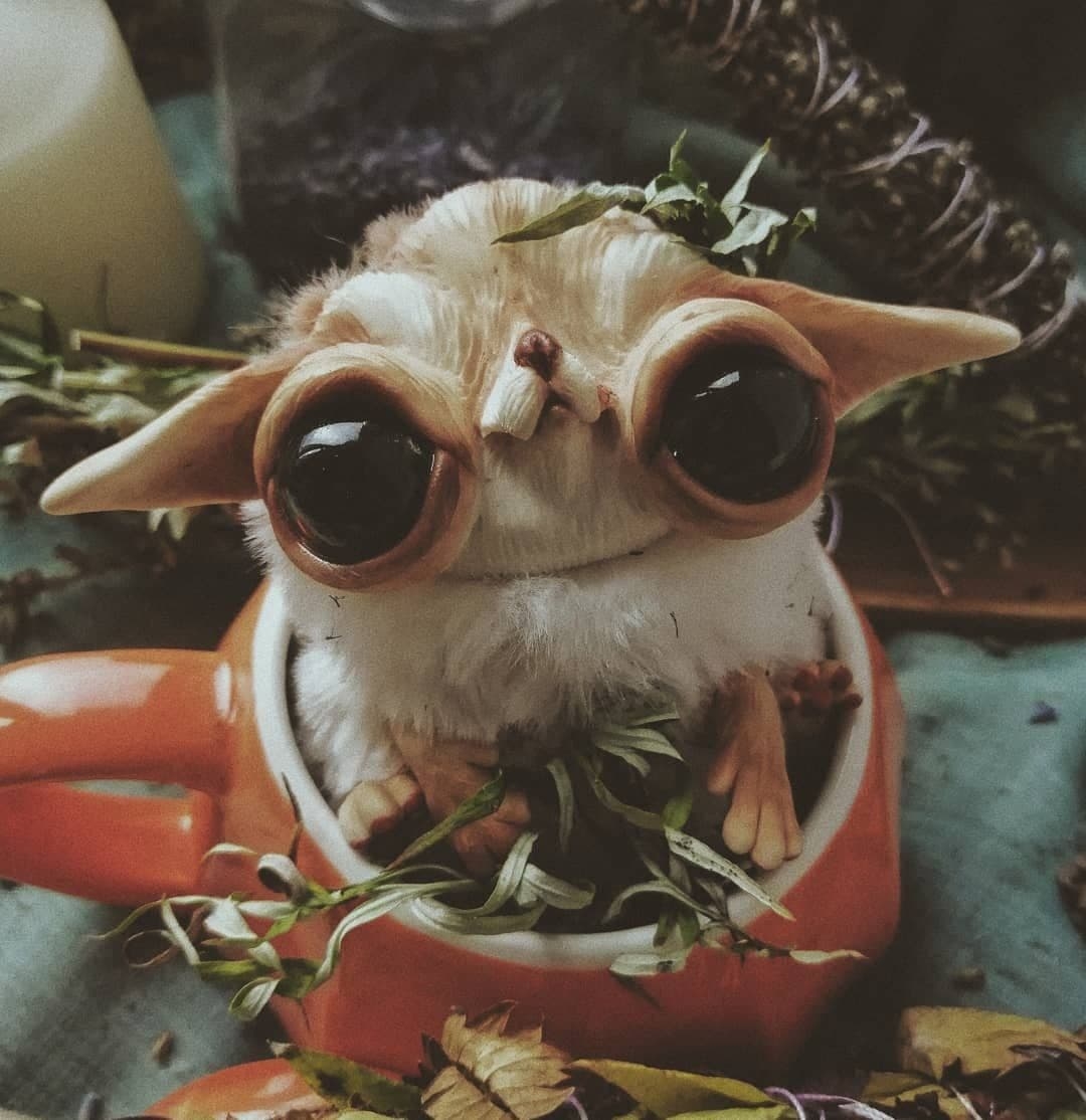 Мой профиль