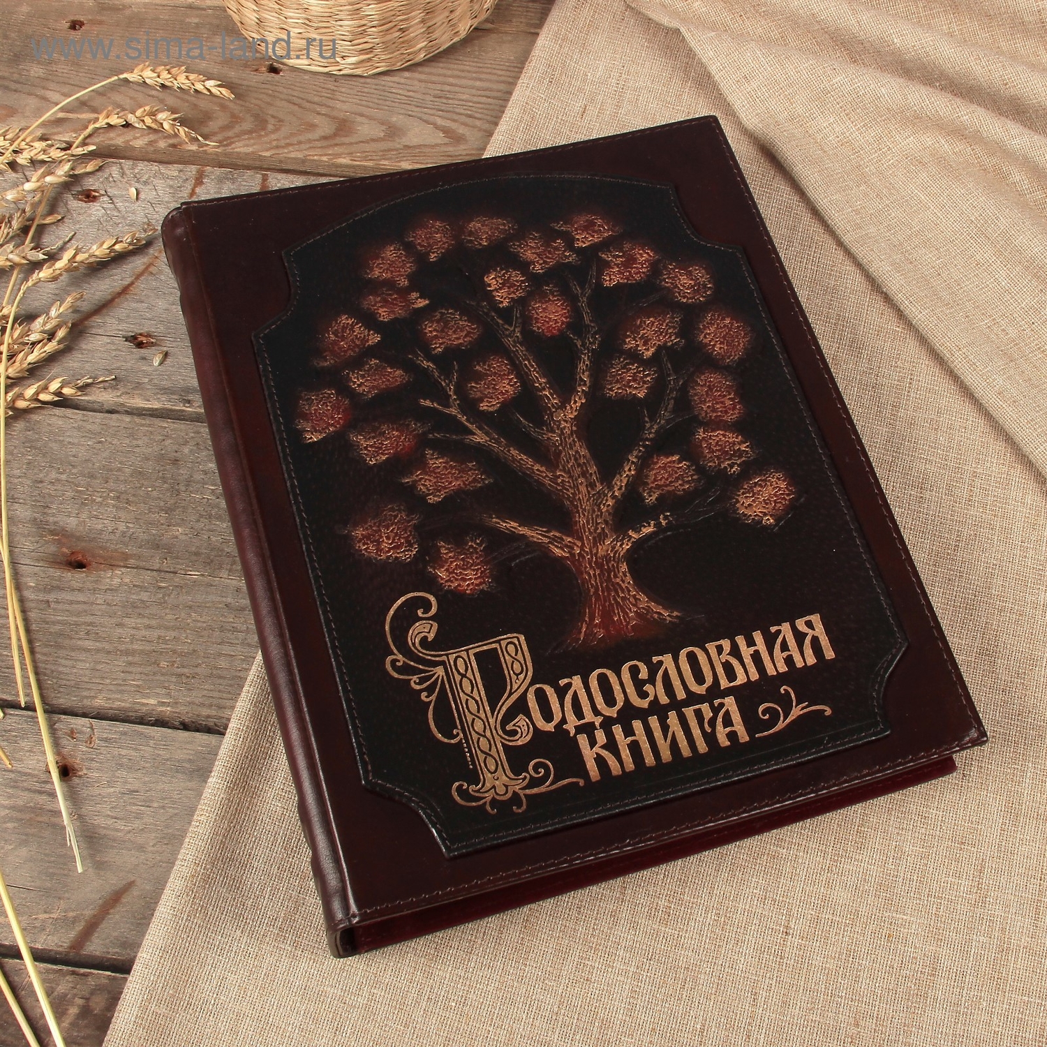 Мой профиль