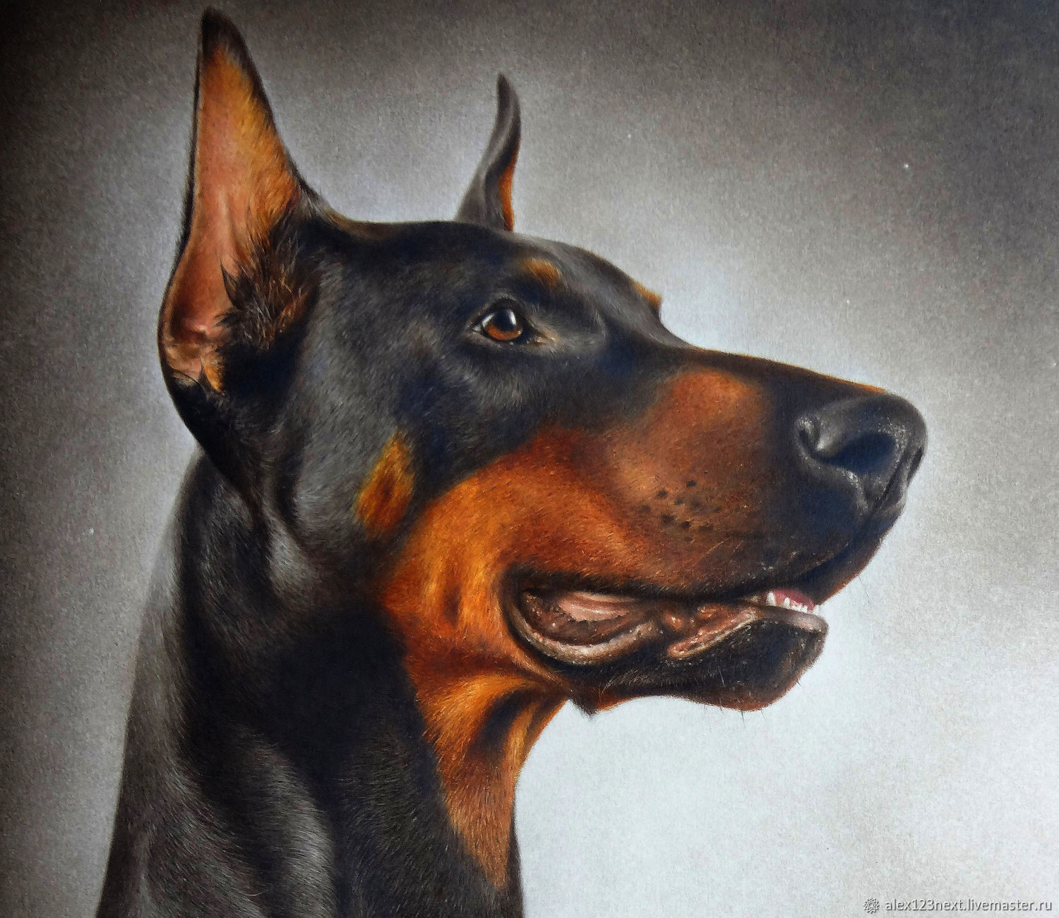 Собака Доберман картина