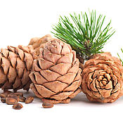 Сувениры и подарки handmade. Livemaster - original item Christmas gifts: Pine cone with nuts. Art.20058. Handmade.