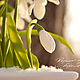 Snowdrops. Take two. Composition. KG_flowers. My Livemaster. Фото №4