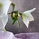Морозник. Зимовник. Helleborus. Полимерная глина (холодный фарфор). Букеты. Lovely flower. Ярмарка Мастеров.  Фото №4