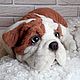  Реалистичный щенок  бульдога. Мягкие игрушки. Igrushki-s-dushoj-irina. Интернет-магазин Ярмарка Мастеров.  Фото №2