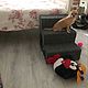 Лестница для собак и кошек полностью из ДСП + ковролин (55*44*46), Лесенки ступеньки для животных, Ульяновск,  Фото №1