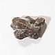 Ставролит . Коллекционный образец, Необработанный камень, Санкт-Петербург,  Фото №1