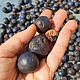 Неочищенная рудракша. Бусины. Gems for Art (Indianstones). Интернет-магазин Ярмарка Мастеров.  Фото №2