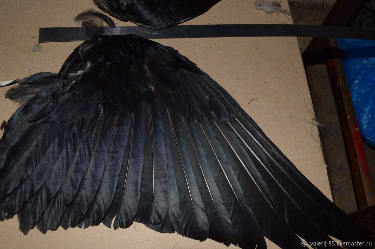 Ворон 4 крыла. Перо ворона. Крыло ворона. Черные перья. Черные перья ворона.