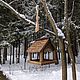 Кормушка для птиц и белок из дерева большая уличная. Кормушки для птиц. Кормушки и Скворечники 'АМАДИН'. Ярмарка Мастеров.  Фото №7