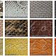 Ботильоны из питона Nadin. Ботильоны. Boutique Python Fashion. Ярмарка Мастеров.  Фото №4